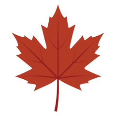 red maple leaf