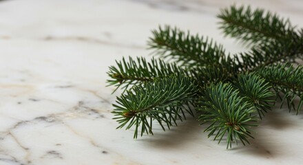 Photo of Fir Branch on Marble Background for Christmas