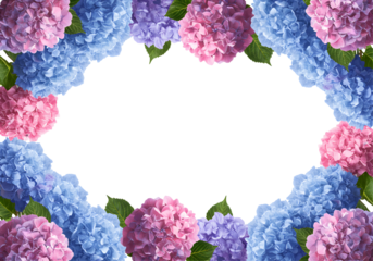 Beautiful blue purple hydrangea flower frame colorful botanical garden border