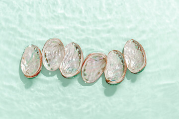 Abalone seashells floating on clear turquoise water with sun glare and waves. Shells of natural...