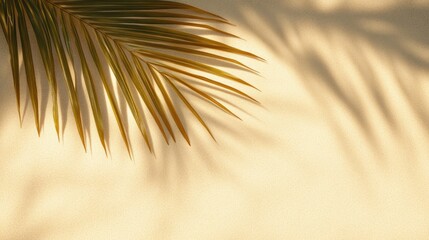 Close-up of a palm leaf casting a shadow on a textured sandy surface with warm sunlight creating a tropical and calm atmosphere
