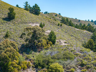 Aerial view of residential neighborhoods, coastal roads, and the Pacific Ocean from the hillside above Linda Mar Valley in Pacifica, California.