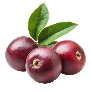 Mamiew pomerac fruits with leaves displayed on a Transparent background, Mamiew Pomerac or Malay Apple Syzygium Malaccense isolated on PNG background