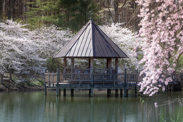 gazebo in the park