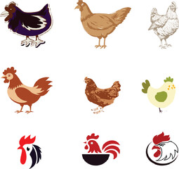 vector hen. hen colour