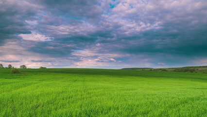 A Beautiful and Vibrant Green Field Stretching Out Beneath Dramatic and Stunning Clouds Time lapse.