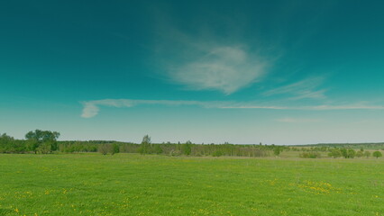 Fototapeta premium A Lush, Vibrant Green Field Situated Under a Bright and Radiant Sky Filled with Sunshine