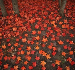 Vibrant red and orange maple leaves scattered on forest floor, rustic, leaves