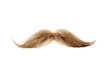 Isolated fake mustache on white background, ideal for use in design and styling projects.