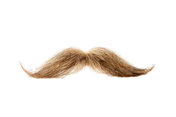 Isolated fake mustache on white background, ideal for use in design and styling projects.