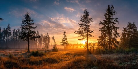 Panoramic View of Forest Clearing at Sunrise. A wide-angle shot capturing a forest clearing bathed in the warm hues of a rising sun, with mist adding a mystical touch.