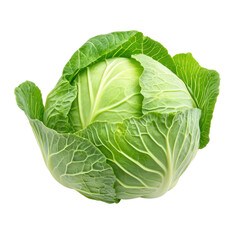 Fototapeta premium Fresh green cabbage isolated on a white background showcasing its vibrant color and healthy leaves, green cabbage isolated on white background