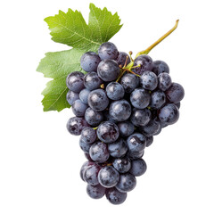 Fototapeta premium Fresh dark grapes isolated on a white background showcasing their rich color and texture, grapeisolated on white background