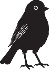 A cute House Sparrow bird silhouette black and white background