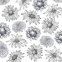 Obraz premium Chrysanthemum daisy floral contour pattern vector