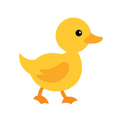 cute duck walking colour vector illustration