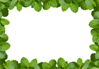 Lush green leaves square frame natural botanical vibrant foliage border design