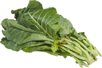 Collard Isolated From Background