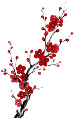 Fototapeta premium Plum blossom