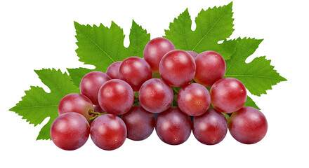 A versatile transparent PNG image, designed as a blank canvas for customization. Perfect for overlays, backgrounds, and graphic design projects.