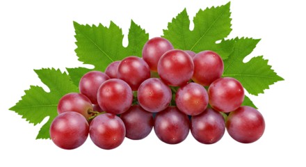 A versatile transparent PNG image, designed as a blank canvas for customization. Perfect for overlays, backgrounds, and graphic design projects.