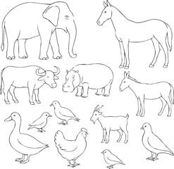 Animals line art collection