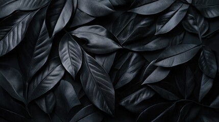 Obraz premium Elegant arrangement of dark charcoal leaves creating a textured and dramatic background