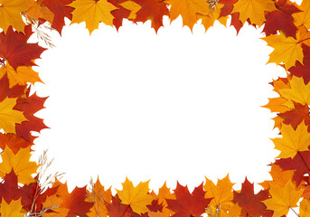 Golden autumn maple leaves frame warm fall foliage seasonal harvest border