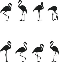 Obraz premium Elegant flamingo silhouette collection for design