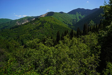 Fototapeta premium Aksai gorge. Mountainous area with different vegetation. The Tian Shan Mountains.