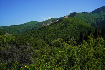 Fototapeta premium Aksai gorge. Mountainous area with different vegetation. The Tian Shan Mountains.