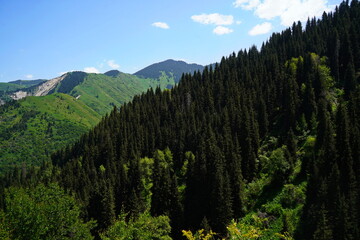 Aksai gorge. Mountainous area with different vegetation. The Tian Shan Mountains.
