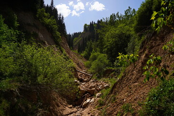 Aksai gorge. Mountainous area with different vegetation. The Tian Shan Mountains.