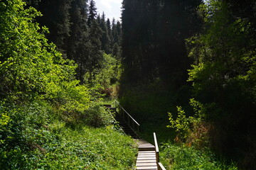 Stairs for tourists to climb and descend. Aksai gorge. Mountainous area with different vegetation.