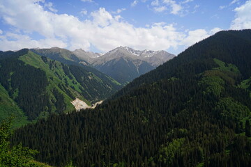 Fototapeta premium Aksai gorge. Mountainous area with different vegetation. The Tian Shan Mountains.