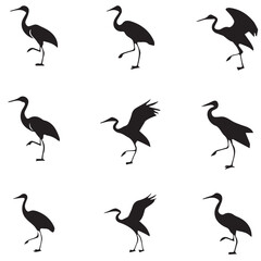 Buck Bird design Vector