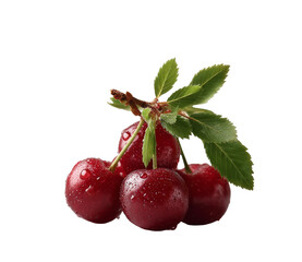 [Transparent Background PNG]Fresh Cherries with Dew Drops