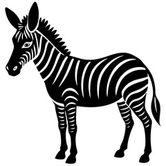 zebra vector illustration