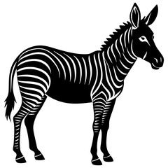 zebra vector illustration
