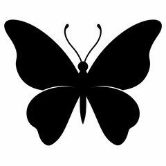 butterfly vector illustration