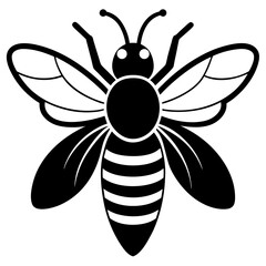 bee vector illustration
