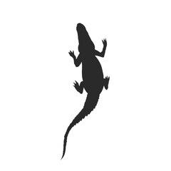 crocodile silhouette icon without background