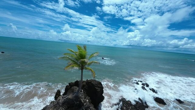 Tambaba Beach In Conde Paraiba Brazil. Bird Eye View Of A Amazing Coastal Beach In The Summer Holiday. Island Life Landscape Recreation Wanderlust. Summertime Recreation Coast. Conde Paraiba.