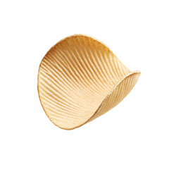 Single Potato Chip, Crispy, Golden, Flaky, Ridged, Texture, Snack, Food, Photography