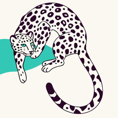 Snow Leopard Illustration, Line Art, Big Cat Design