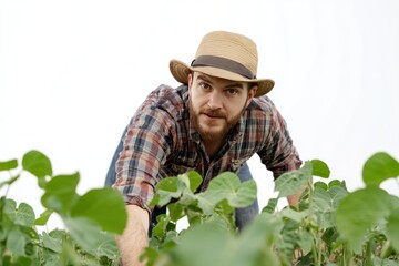 experienced farmer analyzing soybean growth in open field isolate on white background
