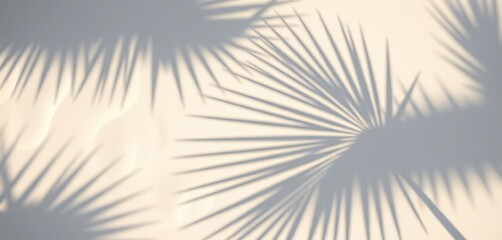 Obraz premium Overhead view of palm leaf shadow cast on pale sand Minimal summer background, aesthetic, summer