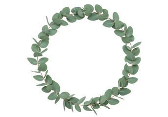 Obraz premium Minimalist green eucalyptus leaves wreath frame natural botanical circular simple