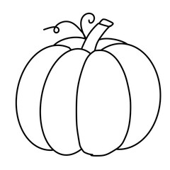 pumpkin vector illustration