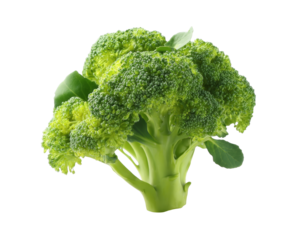 [Transparent Background PNG]Fresh Broccoli Head Close-up